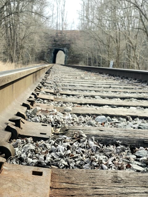 Explore the historical train tunnel on our farm.