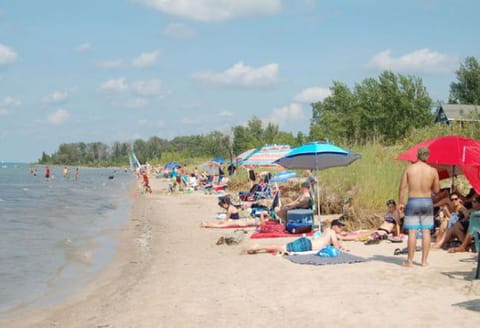 Beach nearby, sun loungers