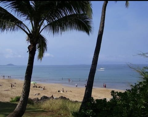 Beach nearby, sun loungers, beach towels