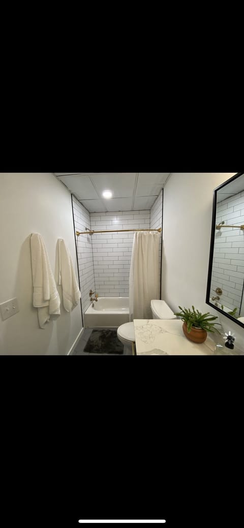 Combined shower/tub