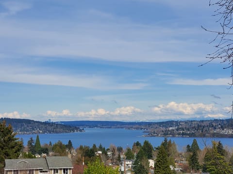 Lake Washington view. Straight out from master bedroom. 