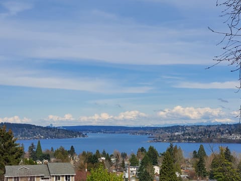 Lake Washington view. Straight out from master bedroom.