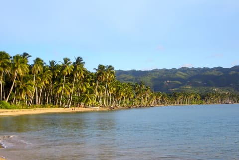 Beach nearby, beach towels