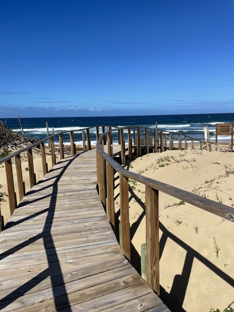 Sun loungers, beach towels