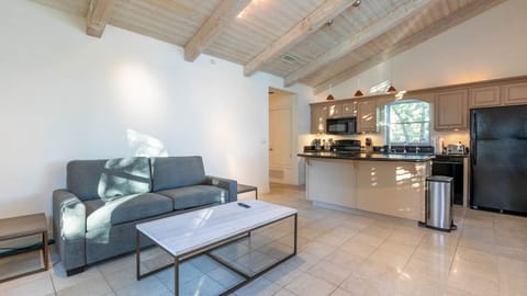 Open-plan living space with vaulted ceiling, modern kitchen, and cozy seating.
