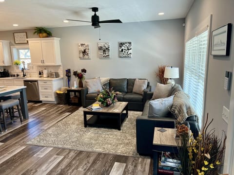 View from the front door. Two large leather couches for seating.