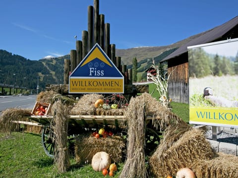 Immediate Surroundings [summer] (<1 km)