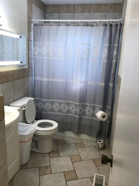 Combined shower/tub, hair dryer, towels, soap