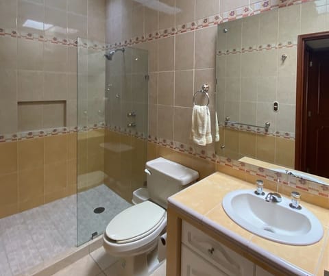 Shower, jetted tub, hair dryer, towels