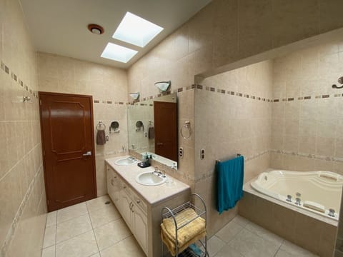 Shower, jetted tub, hair dryer, towels