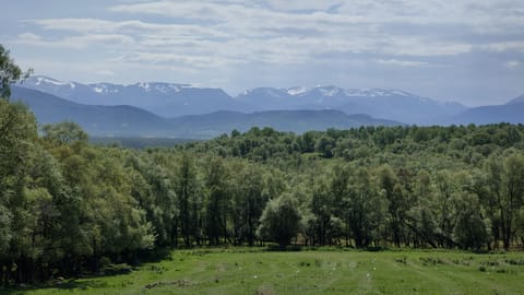 Local view of the Cairngorm mountains