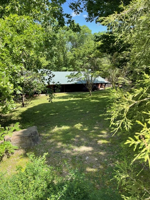 Main House - front yard