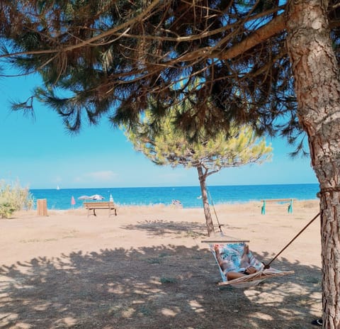 Beach nearby, sun loungers