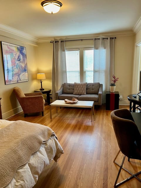 Huge living room/sleeping space