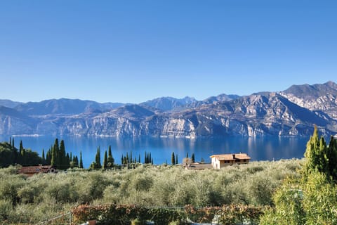 7694ba3d-f147-4945-9ab5-5f0779ab8559