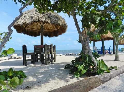 Beach nearby, sun loungers, beach towels