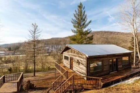 Back of the Cabin House