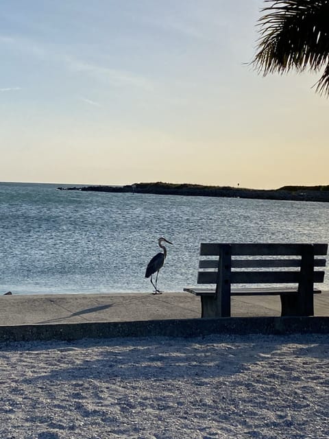 Beach nearby, sun loungers, beach towels