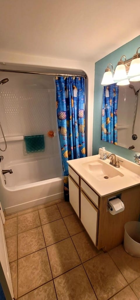 Combined shower/tub, hair dryer, towels