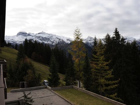 Region [summer] (>5 km)