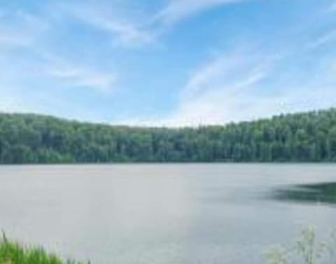 Surroundings [summer] (1-5 km)