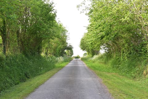 Immediate Surroundings [summer] (&lt;1 km)