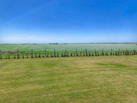 Region [summer] (>5 km)