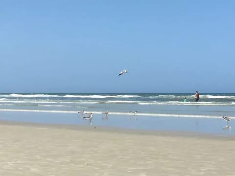 On the beach, beach towels