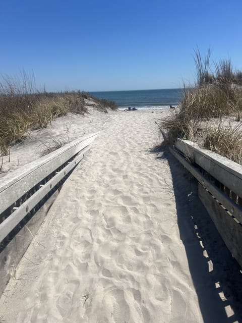 Beach nearby, sun loungers, beach towels