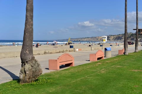 Sun loungers, beach towels