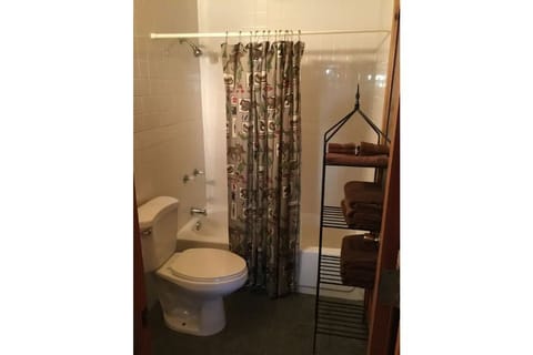 Combined shower/tub, towels, toilet paper