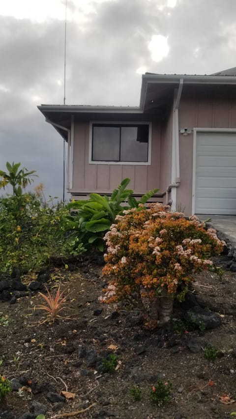 flowers and fruits growing on 1 acre.