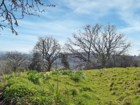 Garden and grounds | Rivendell, Blakeney Hill, near Lydney, Forest of Dean