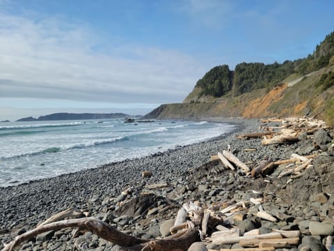 Rock Point beach South of Port Orford