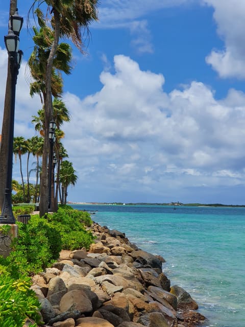 Beach nearby, sun loungers, beach towels