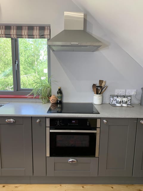 Induction hob with combi microwave and electric oven