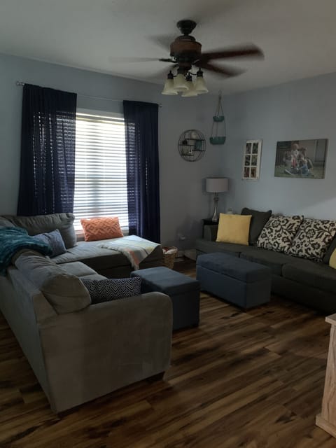 Living room, sectional and sleep sofa 