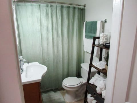 Combined shower/tub, hair dryer, towels, soap