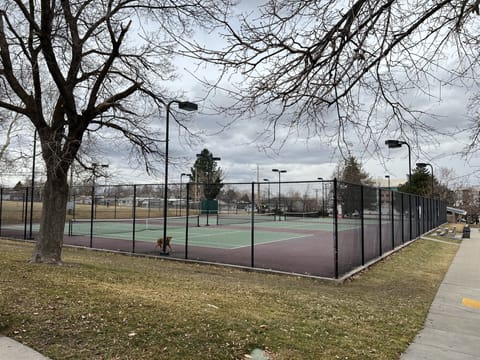 Sport court