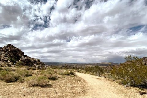 Plenty of trails within walking distance