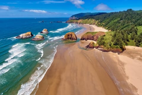 Beach/ocean view