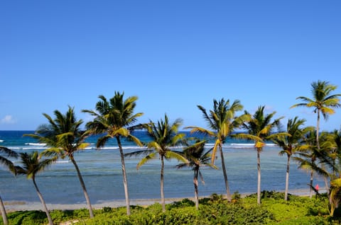 Beach nearby, sun loungers, beach towels