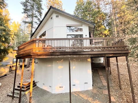 Golden hour, as the sun peaks thru the pine trees.