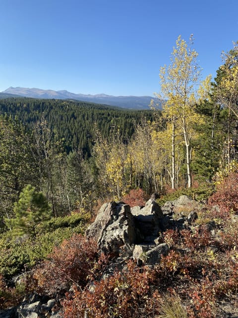 Top of Hill - 9 Acre Hike