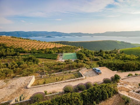 Cloud, Sky, Plant, Plant Community, Mountain, Natural Landscape, Highland, Land Lot, Terrain, Grass