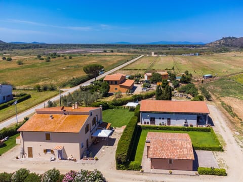 Plant, Sky, Property, Ecoregion, Building, Cloud, Land Lot, House, Natural Landscape, Tree