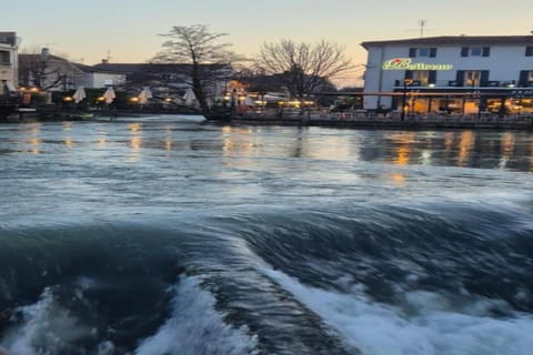 Region [summer] (&gt;5 km)