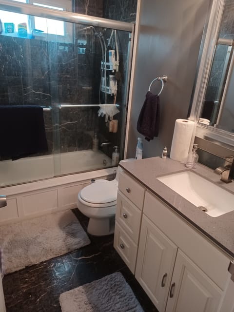 Combined shower/tub, hair dryer, bidet, towels