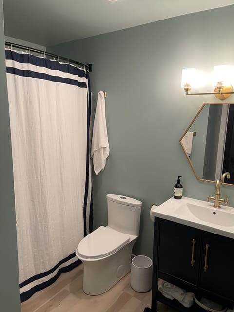 Combined shower/tub, hair dryer, towels, toilet paper