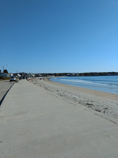 Sun loungers, beach towels